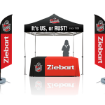 Ziebart Startup Package